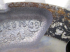 539A010156500032/SS/7.JPG