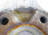 539A010157200177/SS/3.JPG