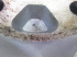 539A010157300044/SS/6.JPG