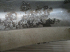 539A010158000030/SS/5.JPG
