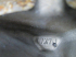 539A010158800023/SS/6.JPG