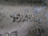 539A010159200017/SS/6.JPG
