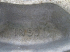 539A010159200033/SS/6.JPG